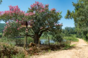 2017-02-09 Instalação - Sinalização Rotas Cicloturísticas de Joaquim Egídio e Região - 066 by Alessandro Casella_4web 2017-02-09 Instalação - Sinalização Rotas Cicloturísticas de Joaquim Egídio e Região - 066 by Alessandro Casella_4web